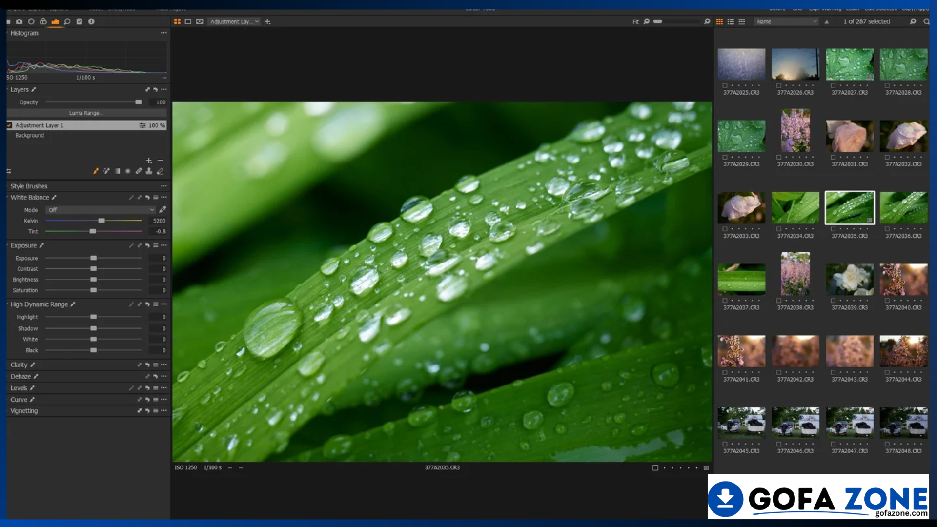Capture One Pro