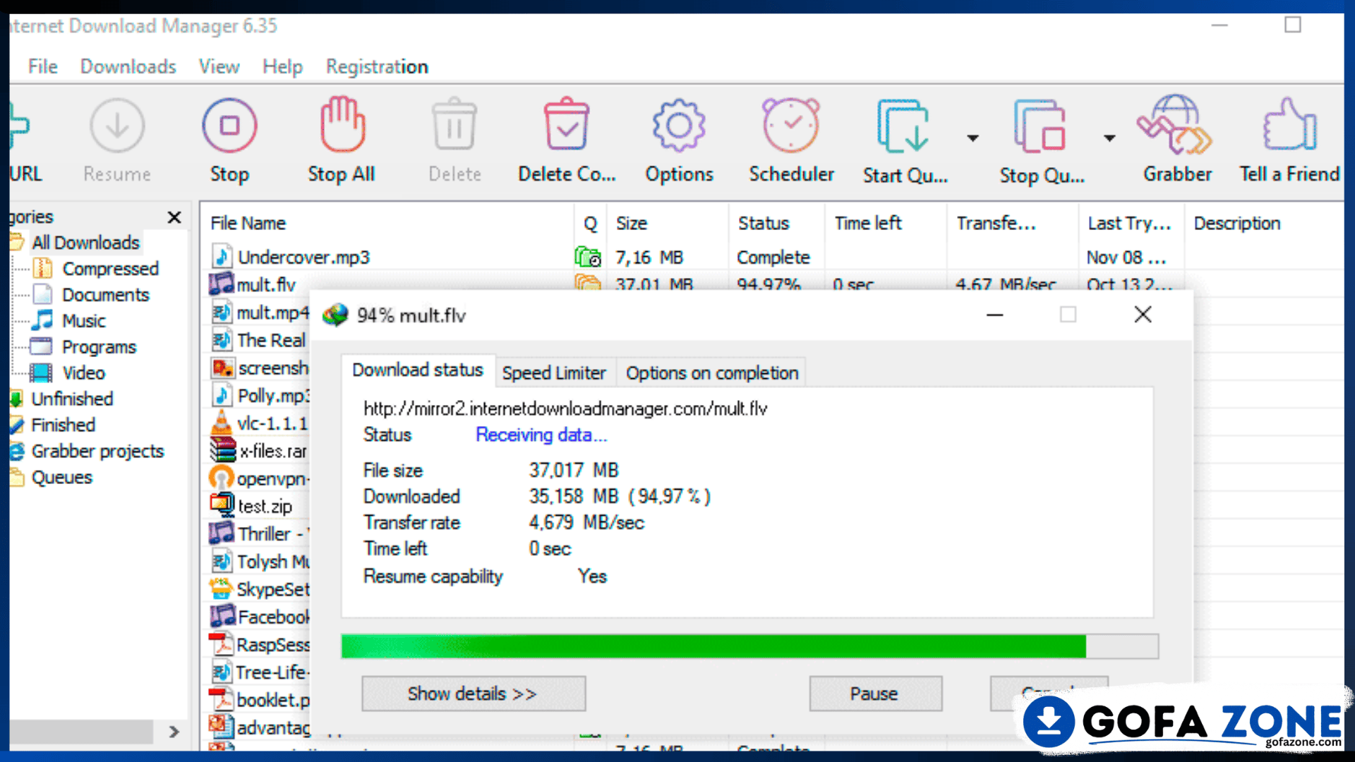 Internet Download Manager