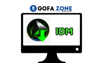 IDM