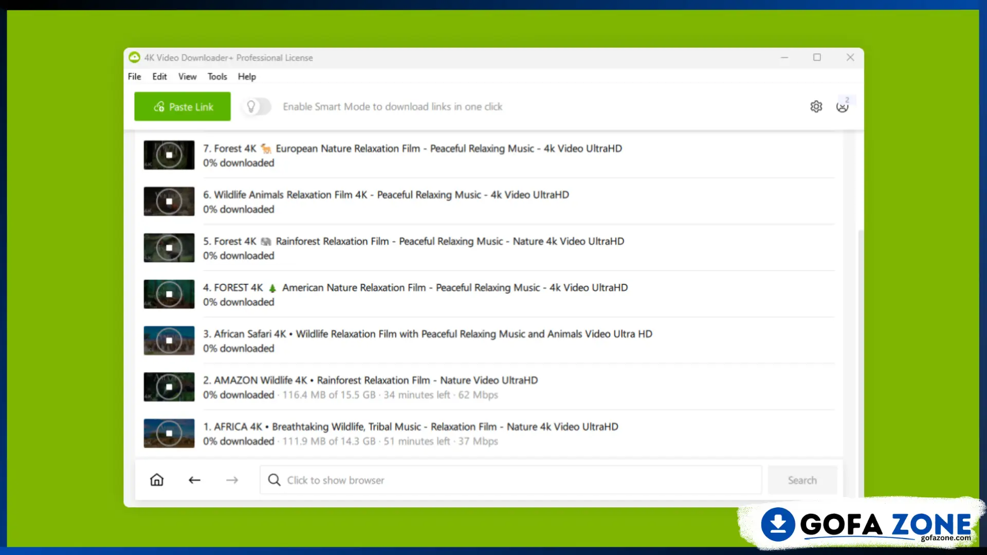 4K Video Downloader